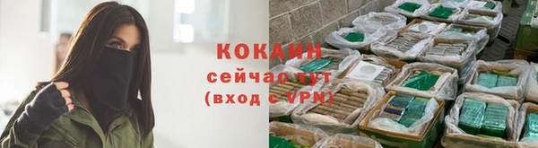 дживик Балахна