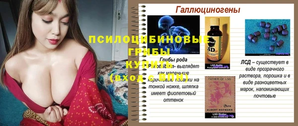 дживик Балахна