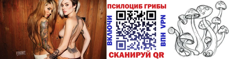 Галлюциногенные грибы MAGIC MUSHROOMS  маркетплейс наркотические препараты  Морозовск 